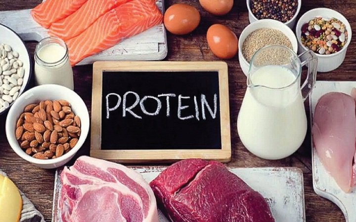 Protein là thành phần cấu tạo khung tế bào