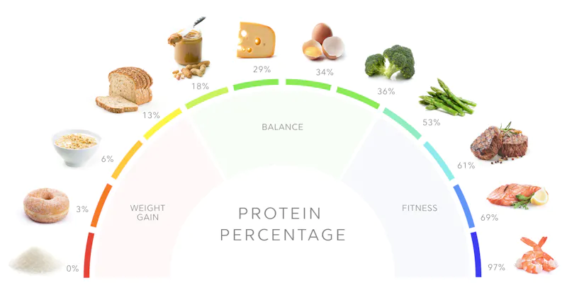 Protein là chất dinh dưỡng quan trọng mà cơ thể cần bổ sung hàng ngày