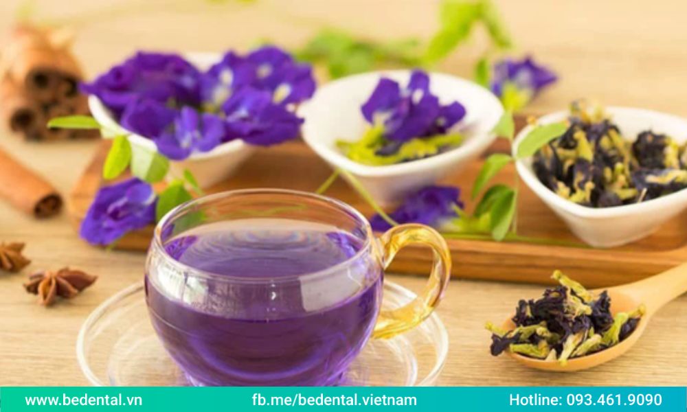 Hoa đậu biếc phơi khô và đun làm trà uống đem lại rất nhiều lợi ích cho sức khỏe 