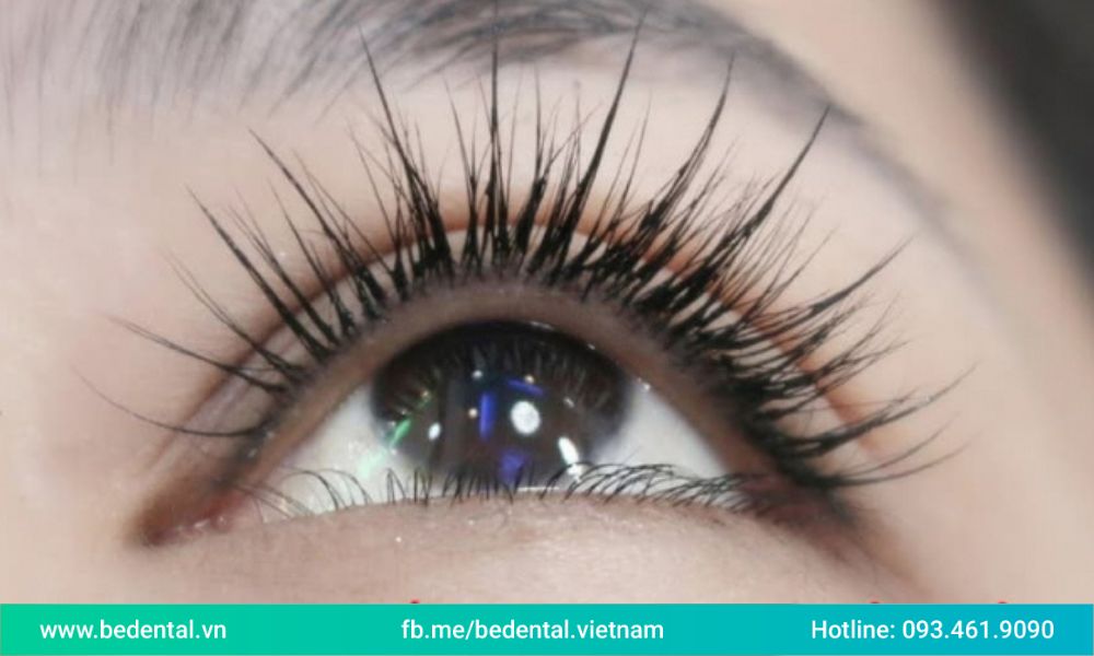 Top 8 Eyelash extension addresses near me in Hanoi