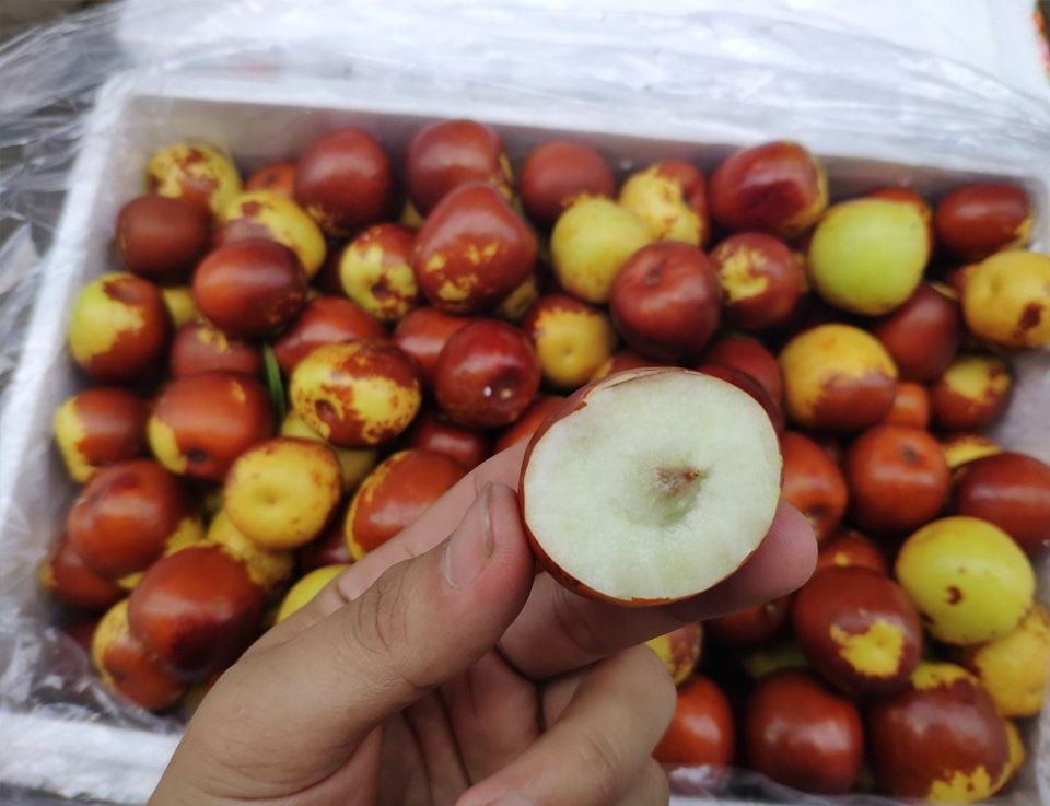 Quả táo tàu là loại trái cây giàu chất xơ, vitamin và khoáng chất