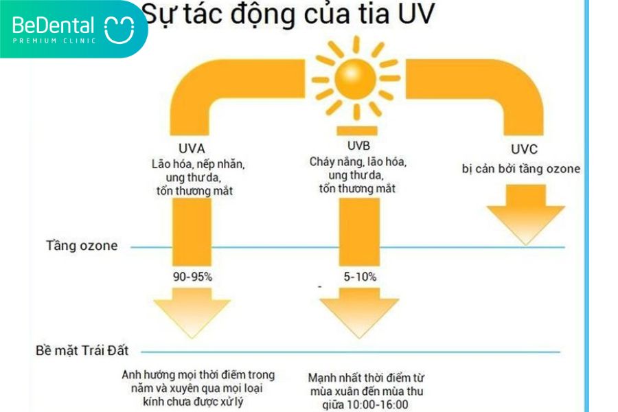 Tác động của tia UV