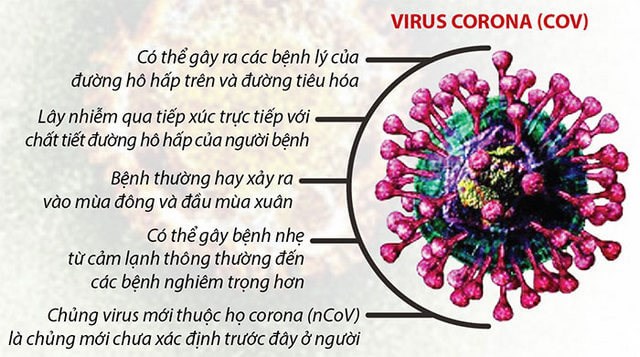 vi-rút corona (nCoV) là Covid 19