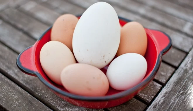 Trứng ngỗng là thực phẩm chứa thành phần dinh dưỡng khá đa dạng