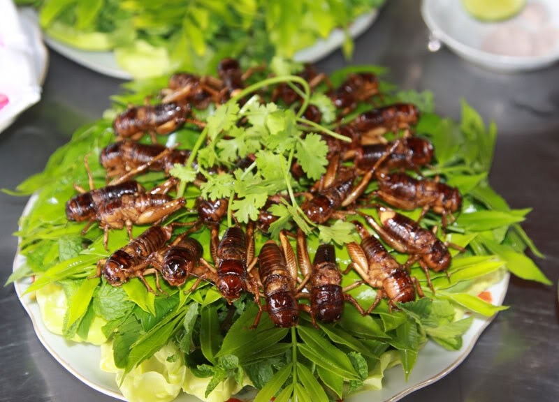 Top 10 unusual foods to try in Vietnam: Fried white cricket