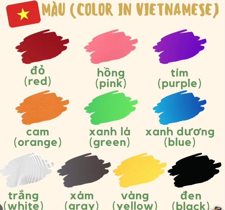 Basic vietnamese color