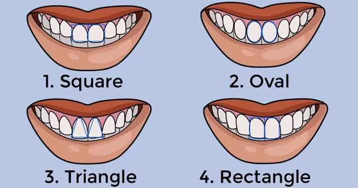 Overview of feng shui teeth