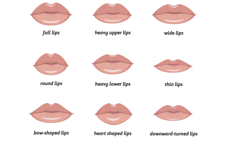 various types of woman lips 1024x1024 1