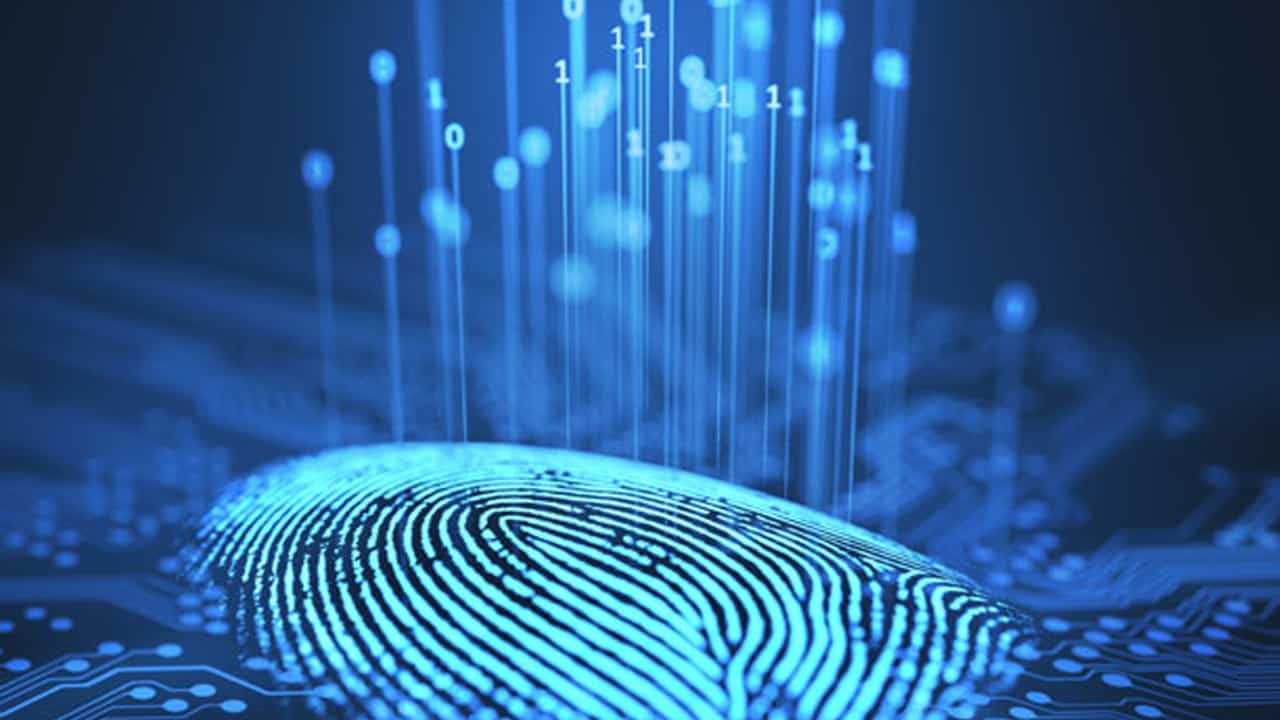 What is Fingerprint Biometrics?
