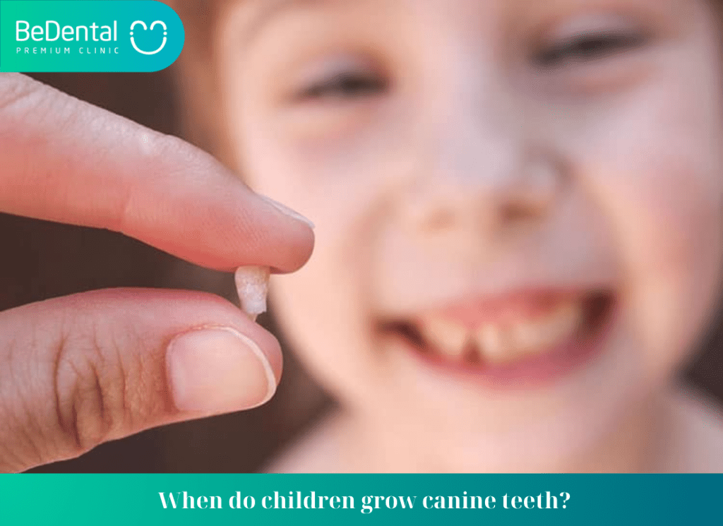 When do children grow canine teeth