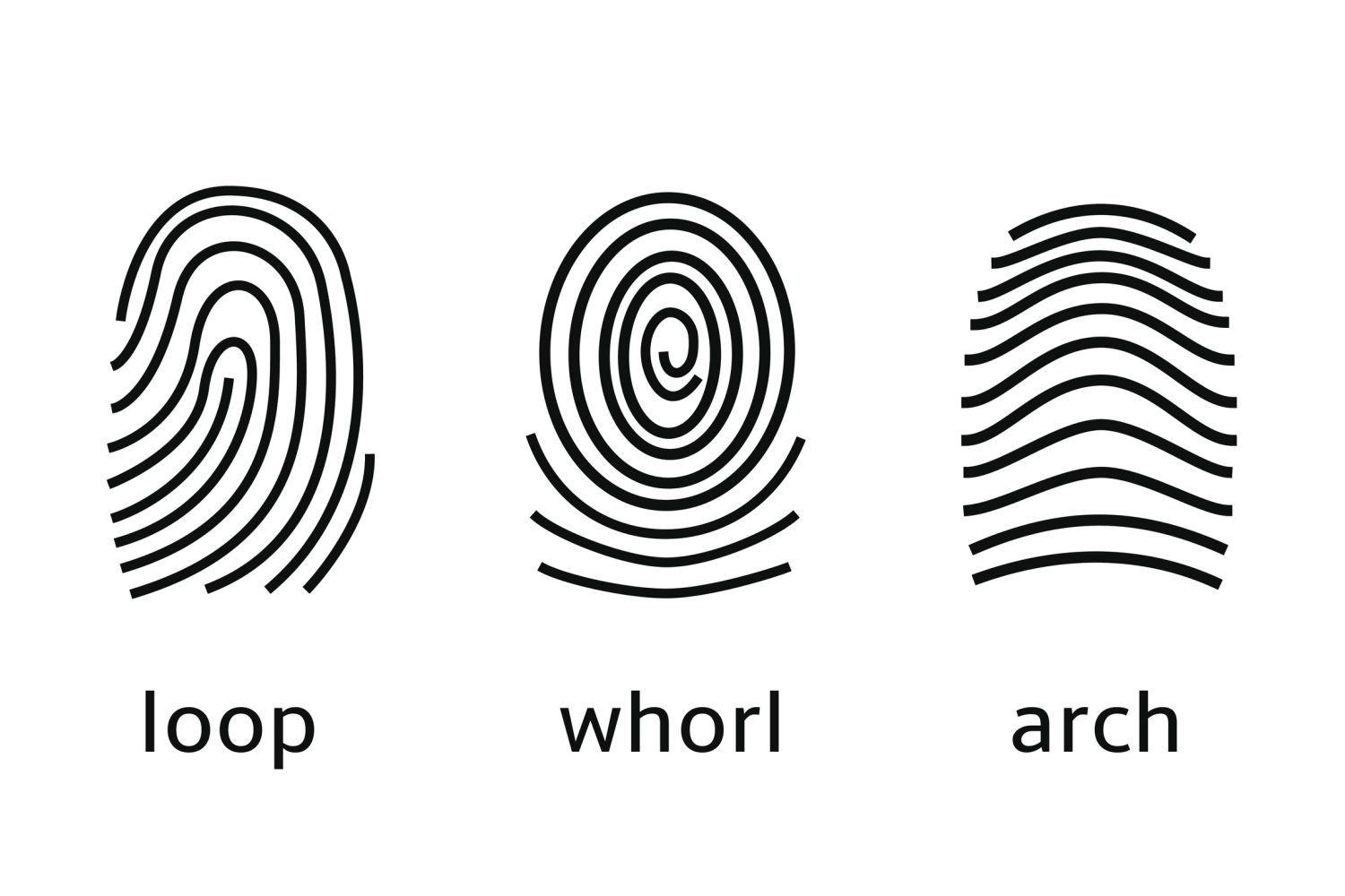 fingerprint types 1515e5373f3c4d0486c09691ec681eff