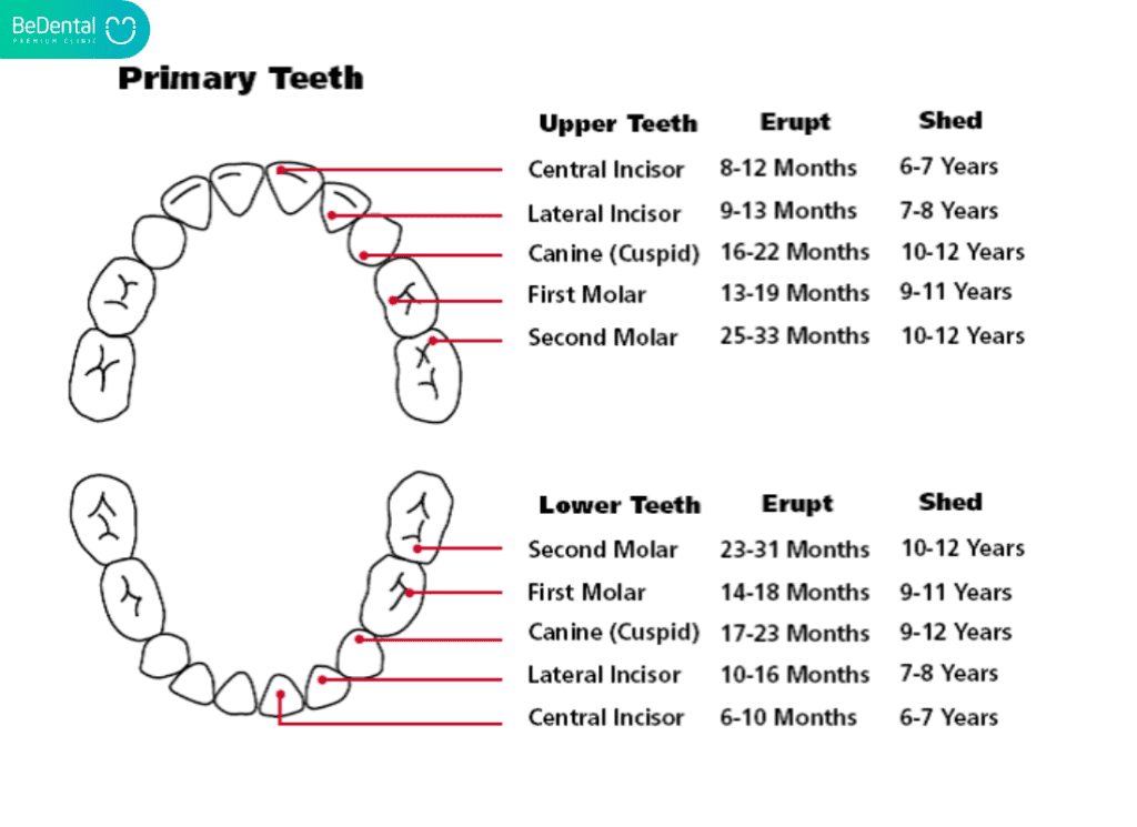 Some notes when your baby is teething