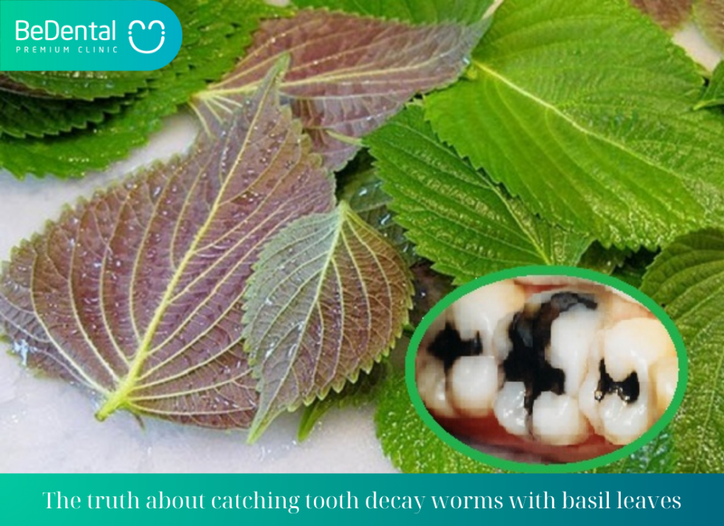 The truth about catching tooth decay worms with basil leaves