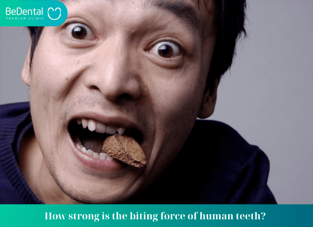 How strong is the biting force of human teeth