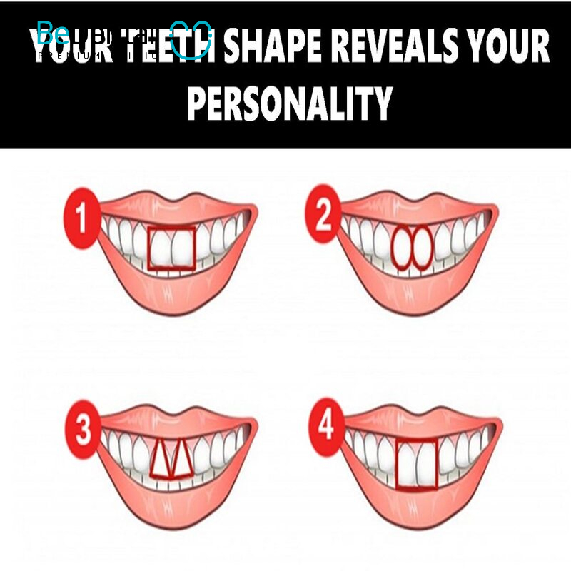 tooth shapes in character analysis