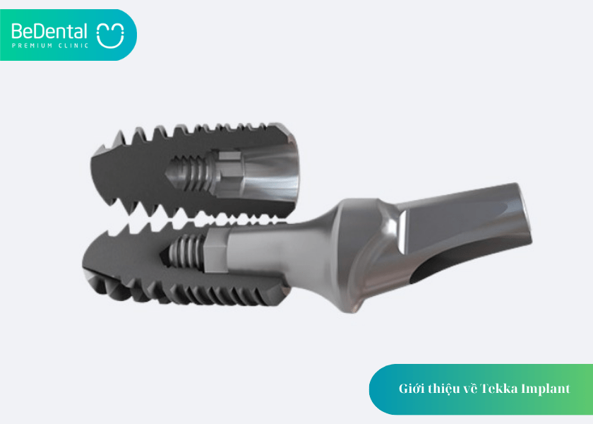 Tekka Implant – Giải pháp cấy ghép Implant tiên tiến đến từ Pháp 2 Giới thiệu về Tekka Implant