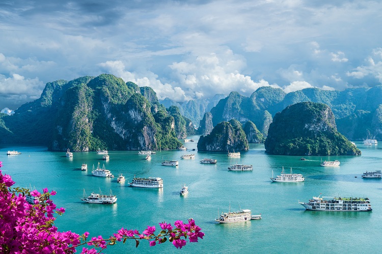 Best Places to Visit in Vietnam for Every Traveler 3 Places to Visit in Vietnam 1
