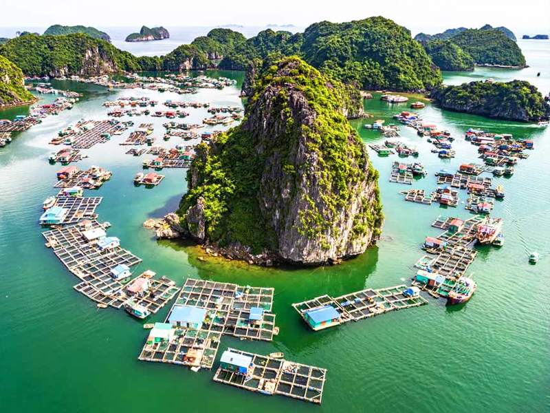 Vietnam holiday package: Destinations and travel ideas 4 ha long bay attractions 1