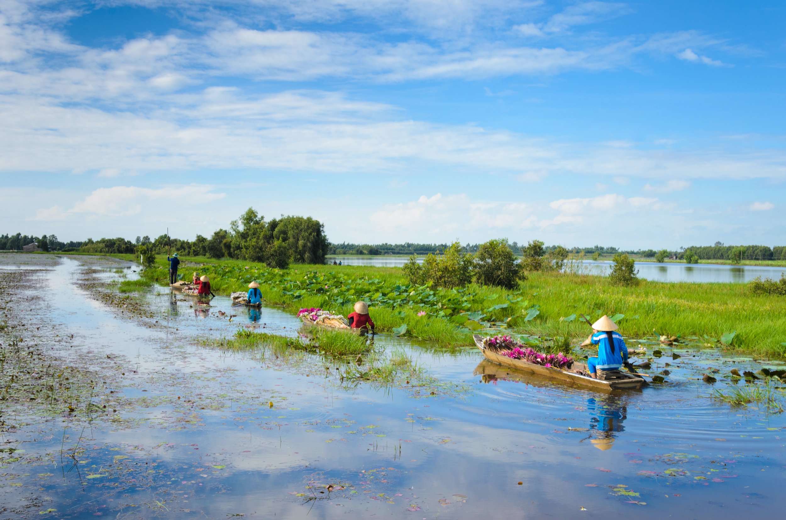 Mekong Delta Tour Guide: Best Routes, Floating Markets & Tips