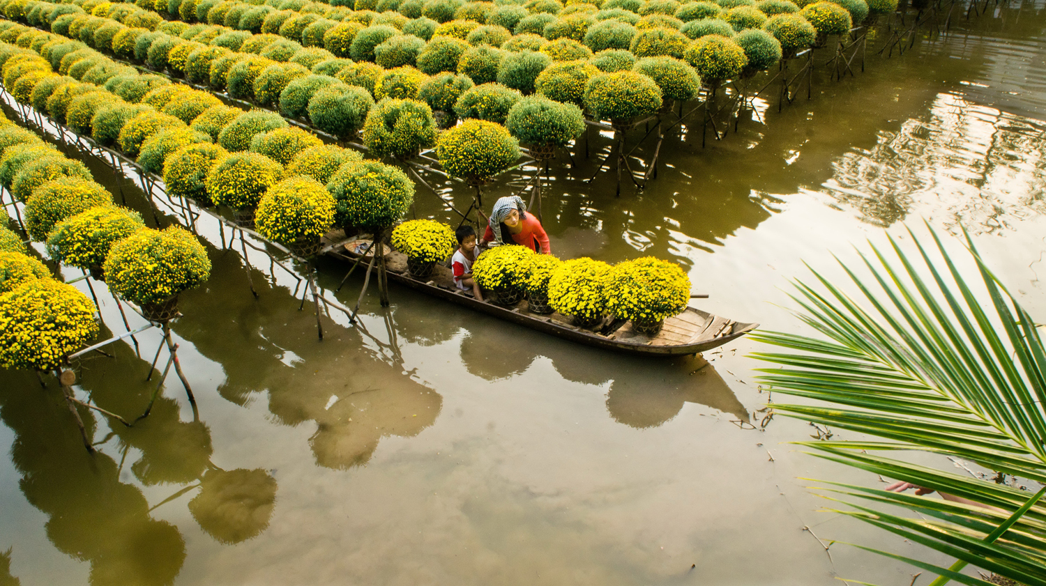 mekong delta tour 3